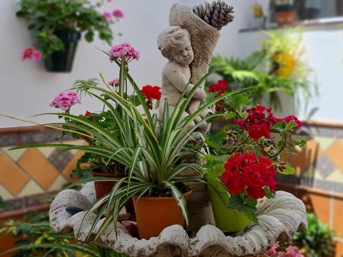 El Barrio Appartement *